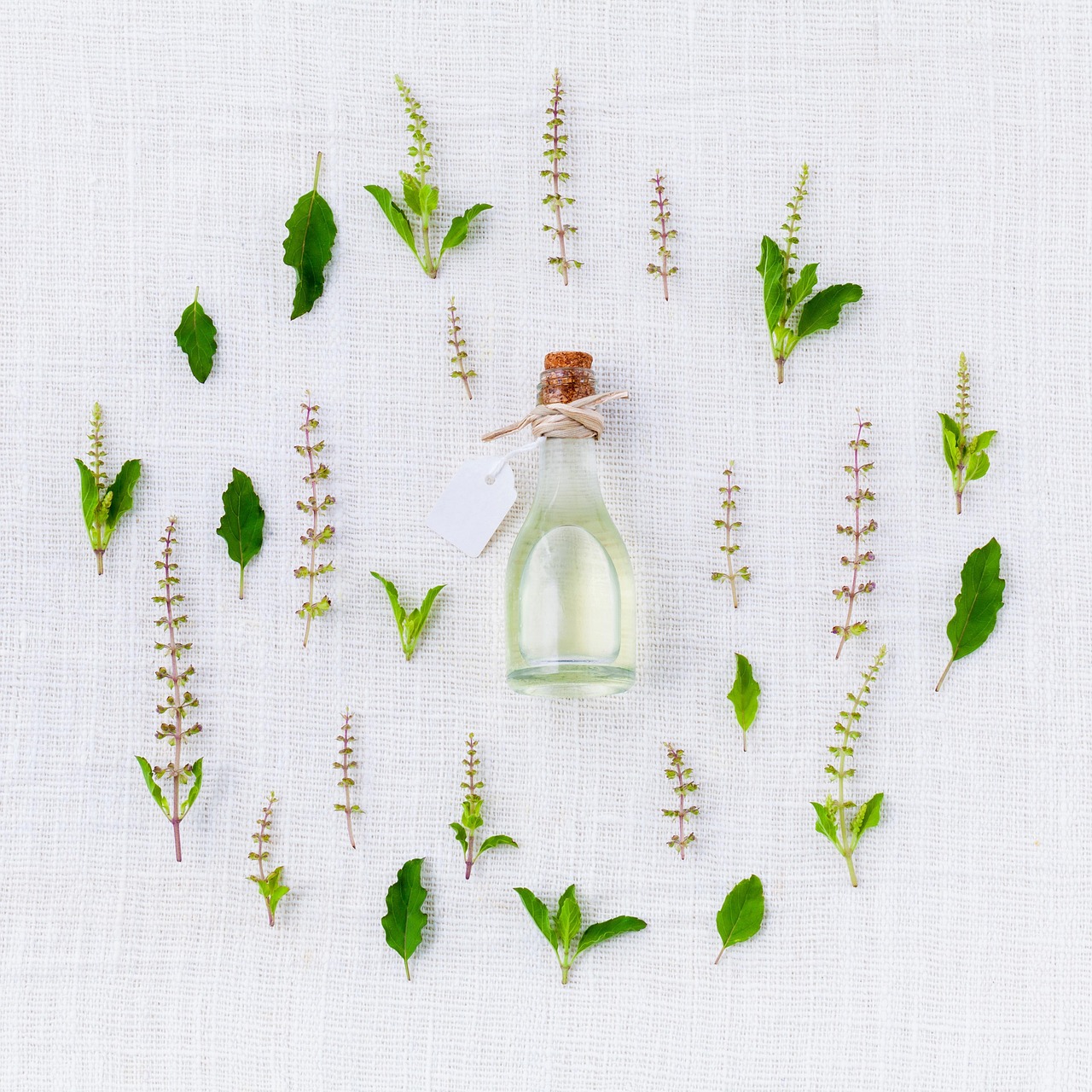 Fennel Essential Oil Price Guide: What a Fair Bottle Costs