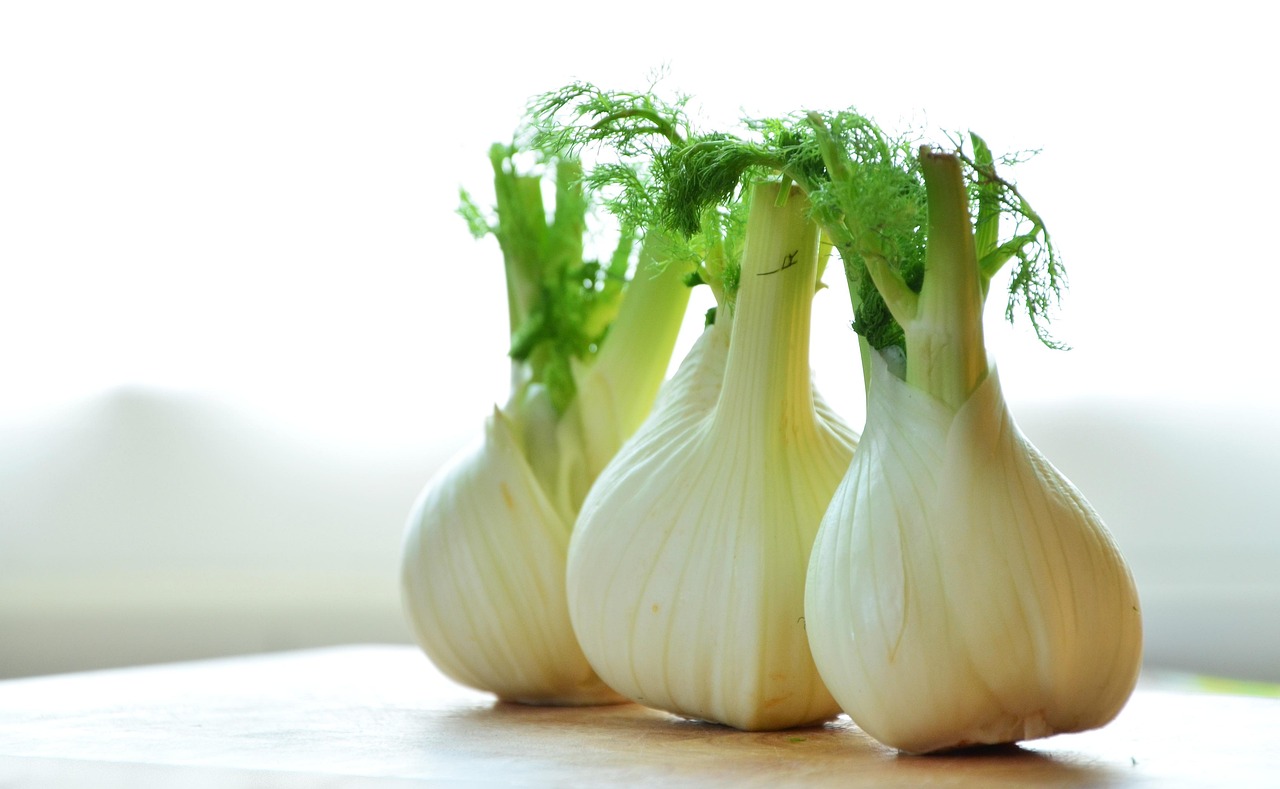 Fennel Oil Myths and Facts: Sorting Folklore From the Bottle