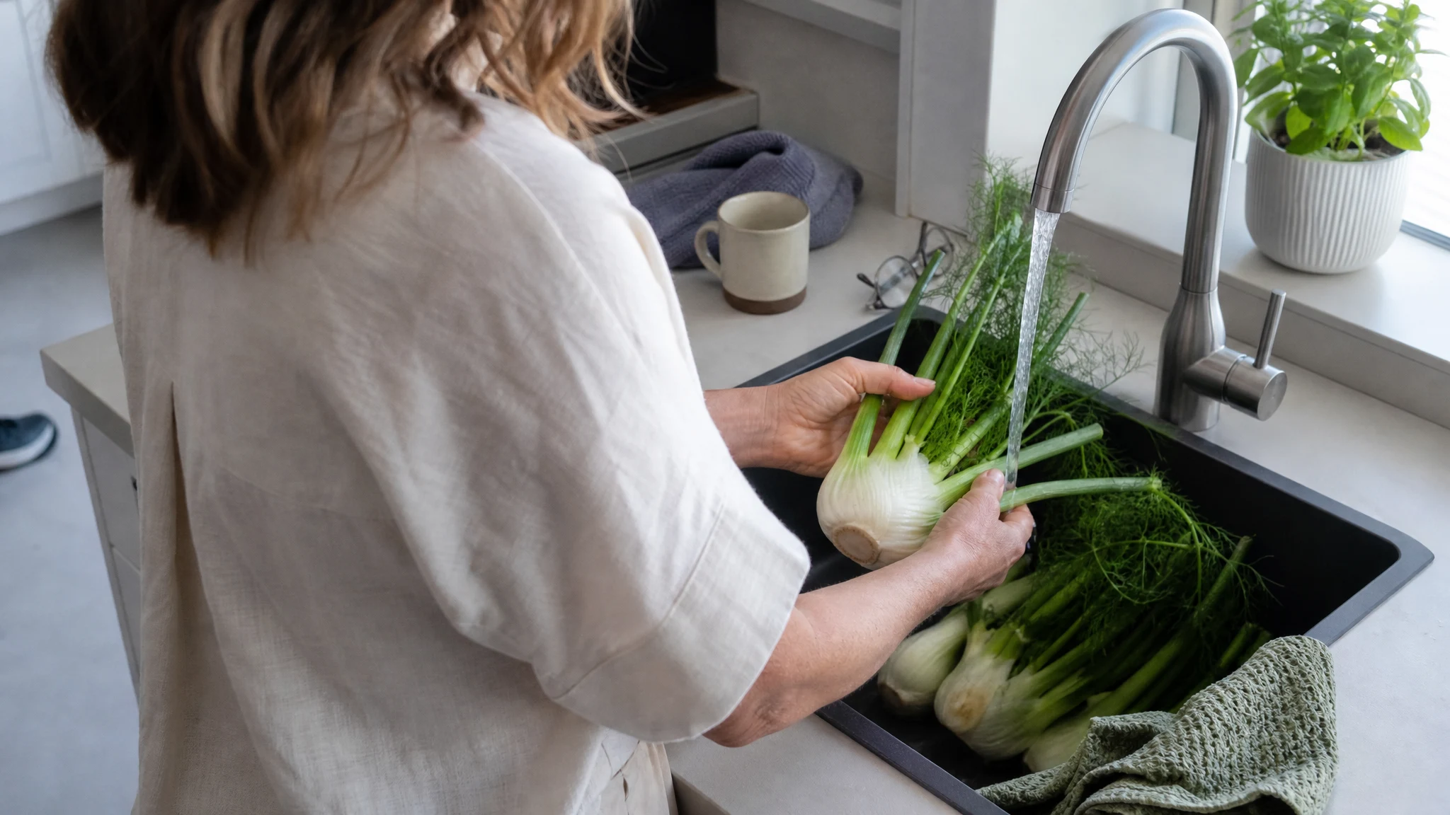 Organic vs Conventional Fennel Essential Oil