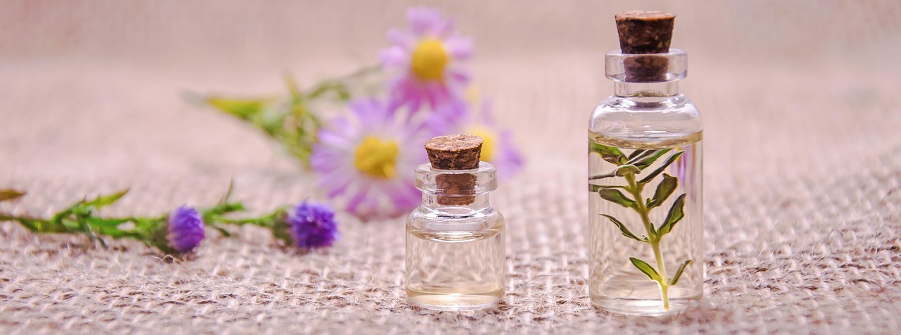 What Is Fennel Essential Oil? The Complete Guide